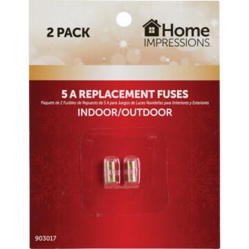 Home Impressions 5A Glass Christmas Light Set Fuses (2-Pack)