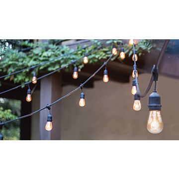 24FT; LED String Light; Includes 12-Light Filament LED bulbs; With Plug