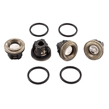 Valve Kit (D30)