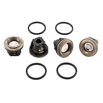 AR D-30 Diaphragm Pumps Valve Kit