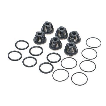 AR Valve Kit/AR503