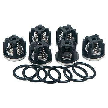 AR D-303 and D-403 Diaphragm Pumps Valve Kit