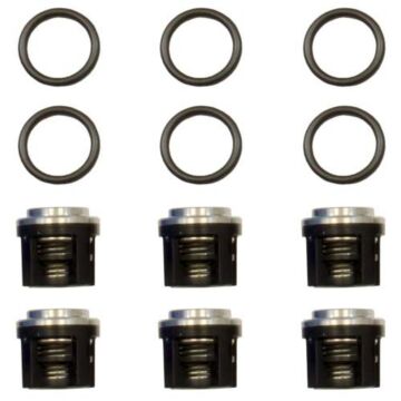 AR RK RKA RCW & RW Series Pump Check Valve Kit
