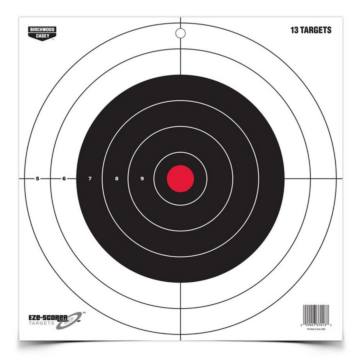 Birchwood Casey Shooting Target (13pk) 12 in.