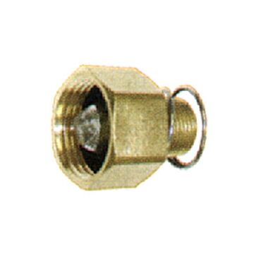 . 3/4 in Pressure Washer Pump Inlet