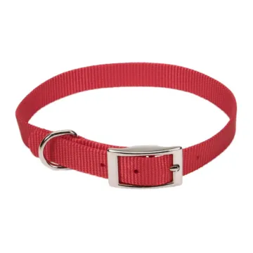 Coastal Pet Small 14 in 5/8 in Dog Collar