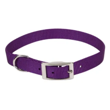 Coastal Pet Small 14 in 5/8 in Dog Collar