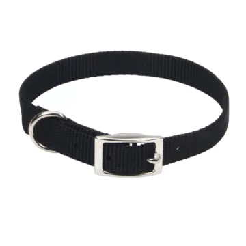 Coastal Pet Medium 16 in 3/4 in Dog Collar