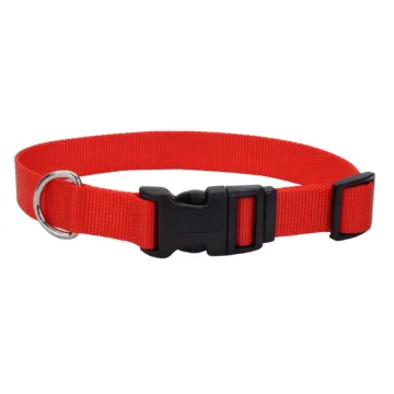 Coastal Pet Medium 14-20 in 3/4 in Adjustable Dog Collar