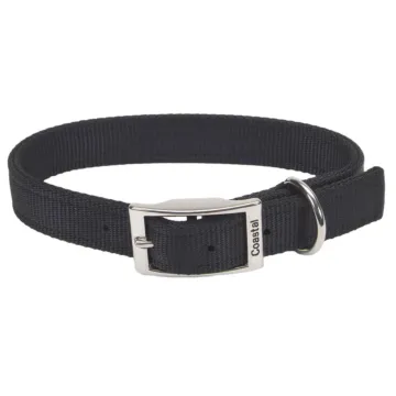 Coastal Pet Medium 20 in 1 in Dog Collar