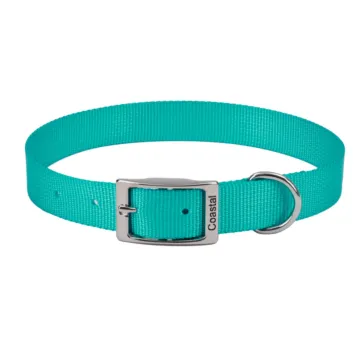 Coastal Pet Small 14 in 3/8 in Dog Collar