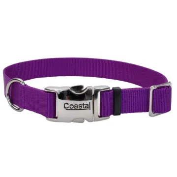 Coastal Pet Large 18-26 in 1 in Dog Collar