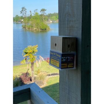 BeesNThings Bees Outdoor Odorless Carpenter Bee Trap