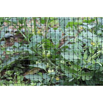 3T Products 3 ft 330 ft Poly Small Bird Netting