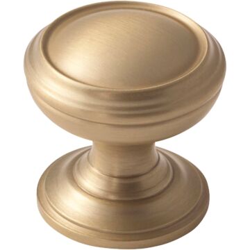 Amerock Revitalize Round Golden Champagne Cabinet Knob