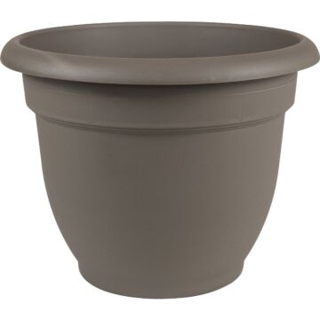 Bloem Ariana Self-Watering Plastic Planter (Charcoal) 12 in.