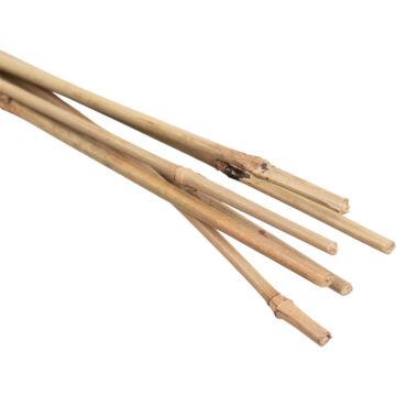Gardener's Blue Ribbon Bamboo Heavy-Duty Plant Stake (Natural - 6pk) 6 ft