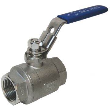 Merrill 1 x 1 in FIP x FIP 304 Stainless Steel Ball Valve