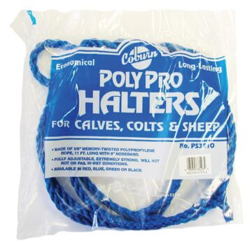 Coburn 1/2 in Polypropylene x 13 ft Length Size PolyPro Calf Halter