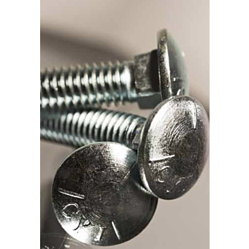 Carriage Bolt 5/16" x 3/4" SS