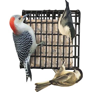 Suet Plus® Suet Cake Feeder