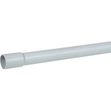 Allied Tube Allied 1-1/2 In. x 10 Ft. Schedule 40 PVC Conduit