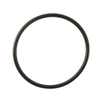 TeeJet EPDM Strainer Bowl Gasket for AA122