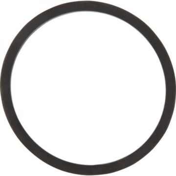 TeeJet Viton Strainer Bowl Gasket for Small AA126 - 3/4", 1", 50 Series Flange