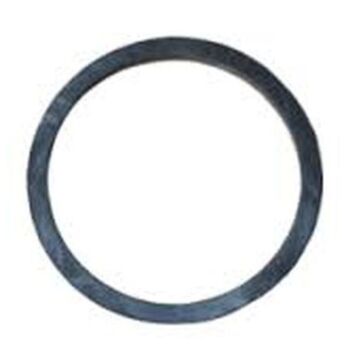 TeeJet EPDM Purple AA124 Strainer Viton O-Ring