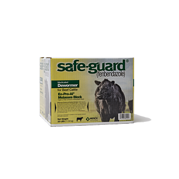 Safe-Guard 25 lb Molasses Block
