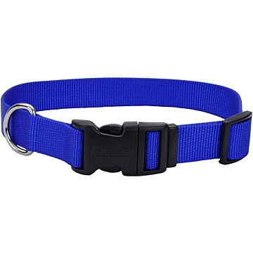 Coastal Pet Dog Collar 3/8"x 8-12" Blue