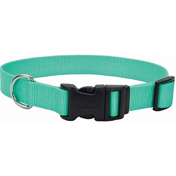 Coastal Pet Dog Collar 3/8"x 8-12" Teal
