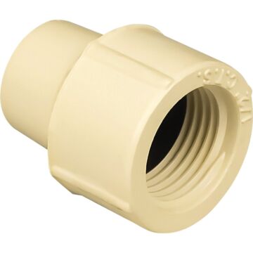 Charlotte Pipe 1/2 In. FIP Schedule 40 Threaded PVC Adapter