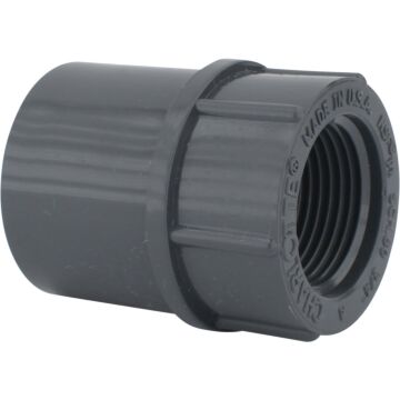 Charlotte Pipe 3/4 In. Schedule 80 Female PVC Adapter