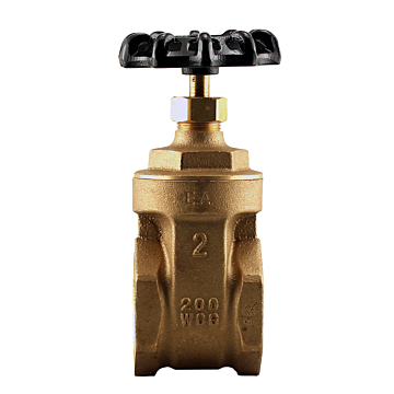 Boshart Industries NO LEAD 2" FPT G.V. 200 WOG