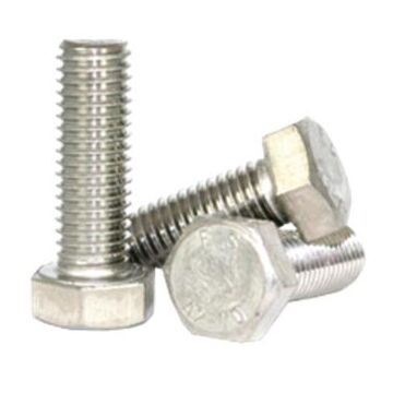 Brighton-Best Hex Cap SS Screw - M12-1.75 x 80mm