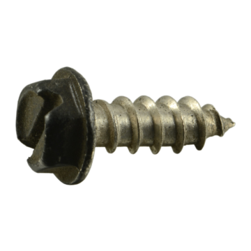 #8 x 1/2" Slotted Hex Washer Head, Sheet Metal Screw, Stainless Steel, Black 