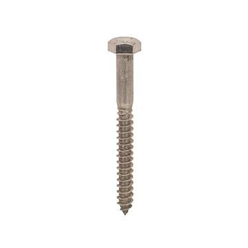 Star Stainless 1/2 in Hex 2-1/2 in Stainless Steel Lag Screw