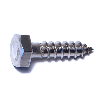 1/4" x 1" Hex Head, Lag Screw, Stainless Steel 