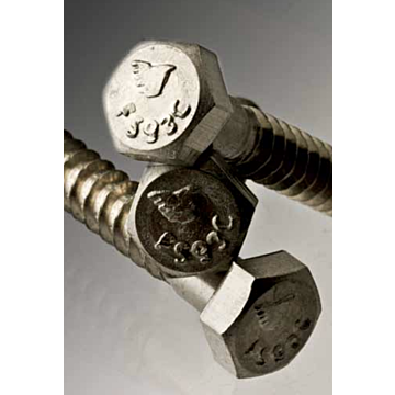 Lag Screw 3/8" x 2",  Stainless Steel