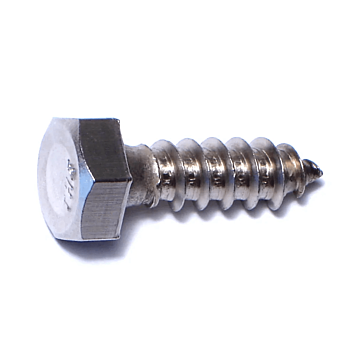 5/16" x 1" Hex Head, Lag Screw, Stainless Steel 