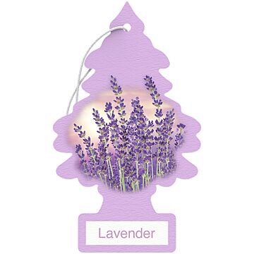 Little Trees Lavender Air Freshener (1pk)