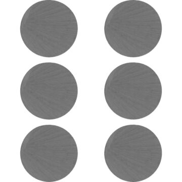 Master Magnetics Ceramic 1 in. Magnetic Discs (6-Pack)