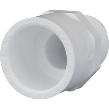 Charlotte Pipe 1/2 In. x 1/2 In. Schedule 40 Male PVC Adapter