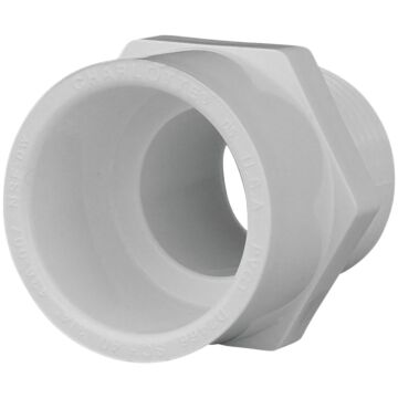 Charlotte Pipe 3/4 In. x 3/4 In. Schedule 40 Male PVC Adapter