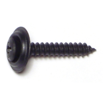 #8 x 1" Phillips Oval Head, Automotive Trim Screw, Black