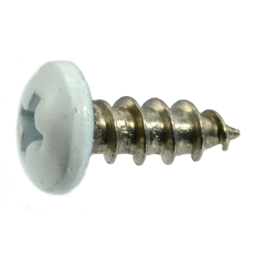 #10 x 1/2" Phillips Pan Head, Sheet Metal Screw, Stainless Steel, White 