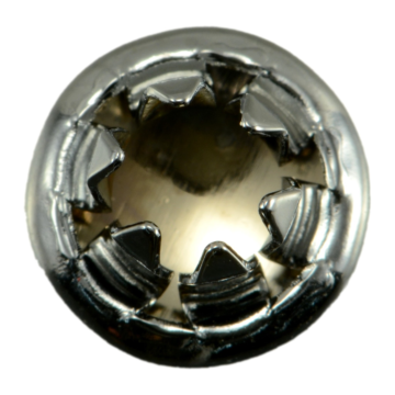 1/4"-20 x Plug Socket Head Cap Screw, Coarse Thread, Chrome 