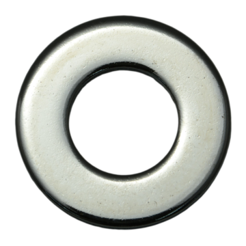 SAE Flat Washer (Chrome) 5/16 in.