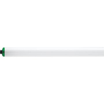 Philips Lighting Philips 110W 96 In. Cool White T12 Recessed Double Contact High Output Fluorescent Tube Light Bulb (2-Pack)
